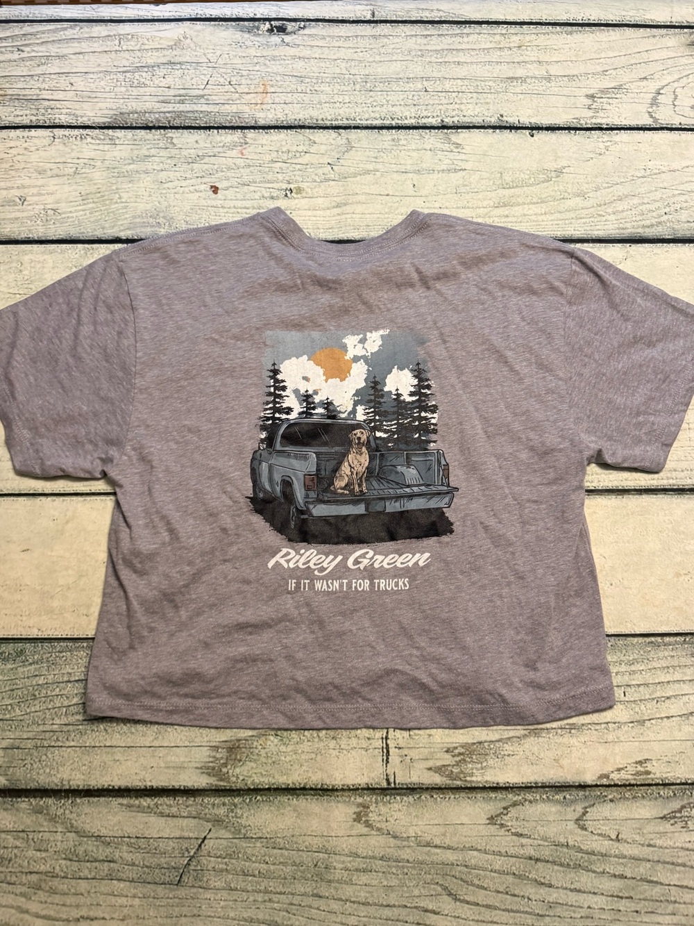 Riley Green gray crop short sleeve shirt. L